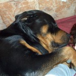 Noah y Helena durmiendo