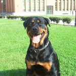 Noah en el parque del Milan
